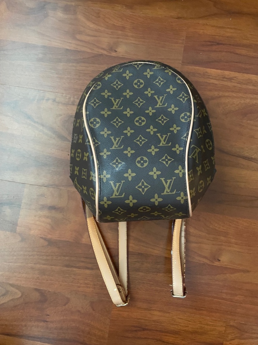 Louis Vuitton Back pack
